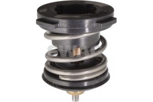 Swag Θερμοστάτης, Ψυκτικό Υγρό - 30 10 4981