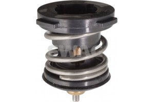 Swag Θερμοστάτης, Ψυκτικό Υγρό - 30 10 4981