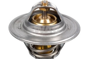 Swag Θερμοστάτης, Ψυκτικό Υγρό - 32 91 7910