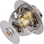 Swag Θερμοστάτης, Ψυκτικό Υγρό - 50 91 8981