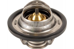 Swag Θερμοστάτης, Ψυκτικό Υγρό - 60 92 4028