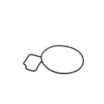 Valeo Αντλία νερού, Ψυγείο Κινητήρα - 506839