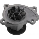 Valeo Αντλία νερού, Ψυγείο Κινητήρα - 529202