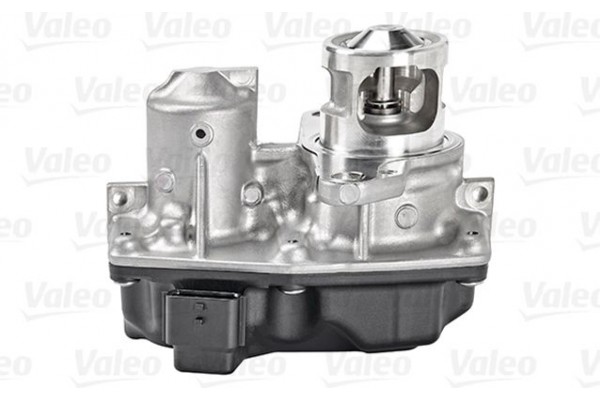 Valeo Βαλβίδα Agr - 700449