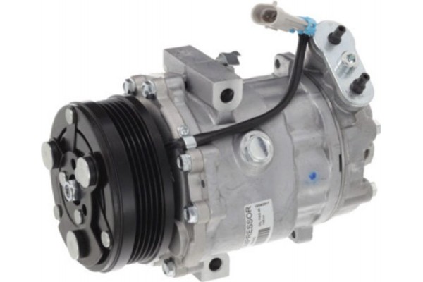Valeo Συμπιεστής, συστ. Κλιματισμού - 699400