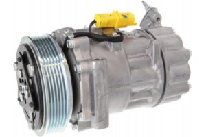 Valeo Συμπιεστής, συστ. Κλιματισμού - 813206