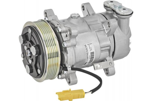 Valeo Συμπιεστής, συστ. Κλιματισμού - 813317