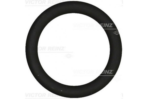 Victor Reinz Τσιμούχα, Πολλαπλή Εισαγωγής - 40-76919-00