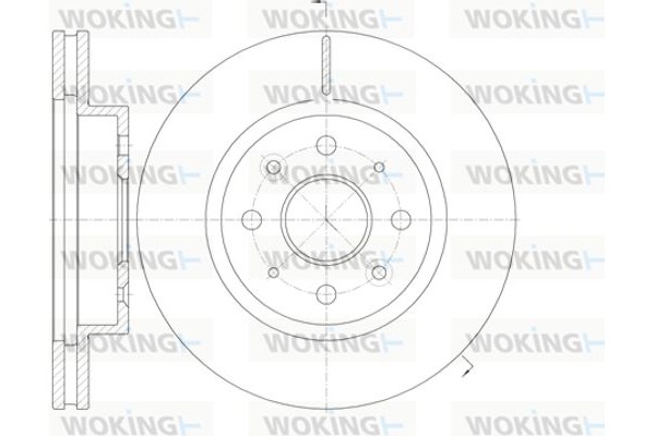 Woking Δισκόπλακα - D61103.10