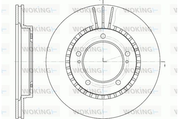 Woking Δισκόπλακα - D61125.10