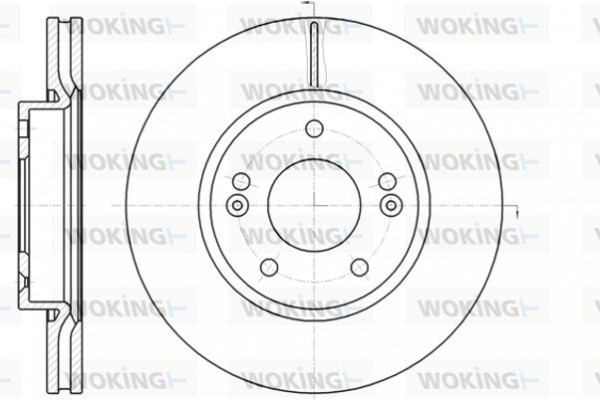 Woking Δισκόπλακα - D61208.10