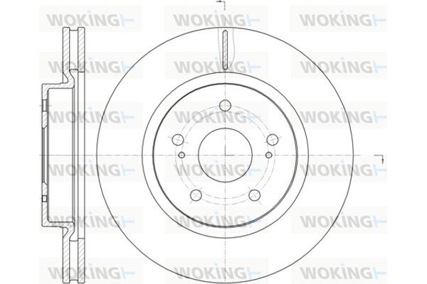 Woking Δισκόπλακα - D61212.10