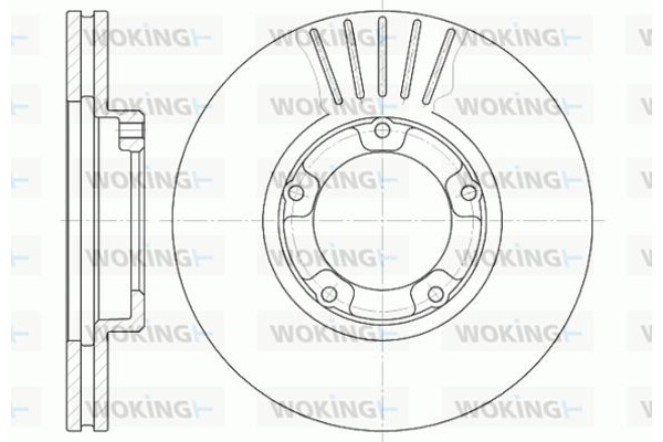 Woking Δισκόπλακα - D61247.10