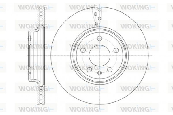 Woking Δισκόπλακα - D61292.10