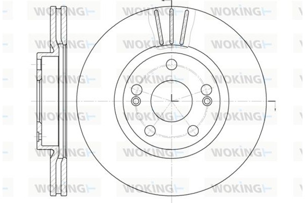 Woking Δισκόπλακα - D6301.10