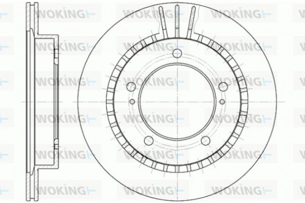 Woking Δισκόπλακα - D6492.10