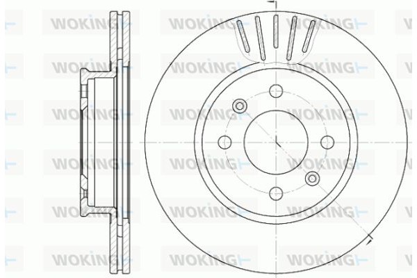 Woking Δισκόπλακα - D6666.10