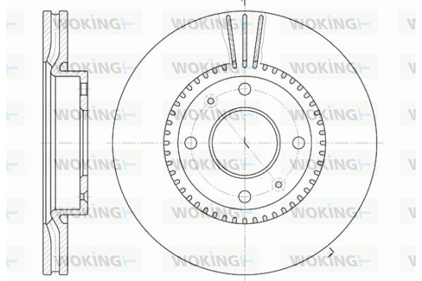 Woking Δισκόπλακα - D6668.10