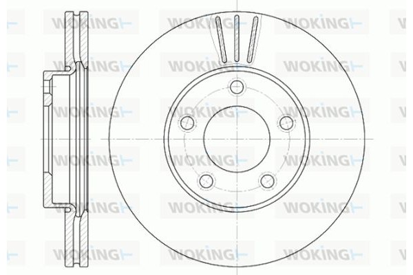 Woking Δισκόπλακα - D6671.10