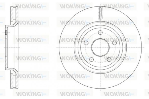 Woking Δισκόπλακα - D61512.10